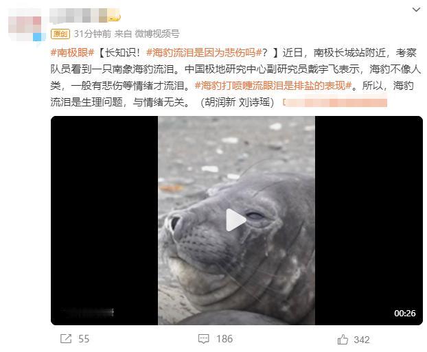 来涨知识了！#海豹流泪是因为悲伤吗#？近日，南极长城站附近，考察队员看到一只南象