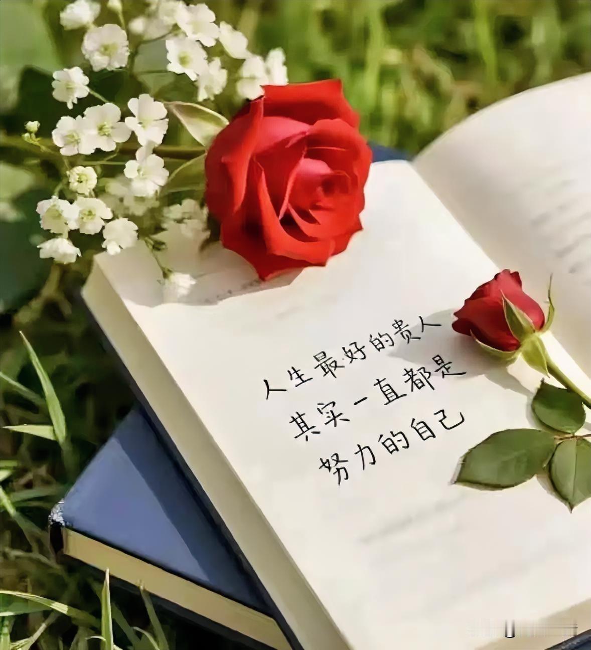 苦海无涯似浮萍，奔波四处阅人生。
世间冷暖皆尝遍，岂是艰辛说得清。