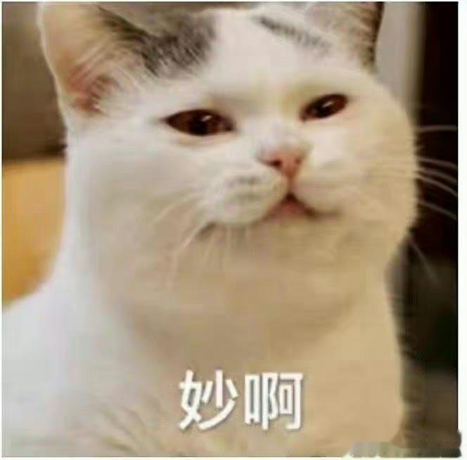 #泉州是半个国货圈的娘家# 泉州运动鞋业真的是太好了，非常的时尚，怪不得大家都叫