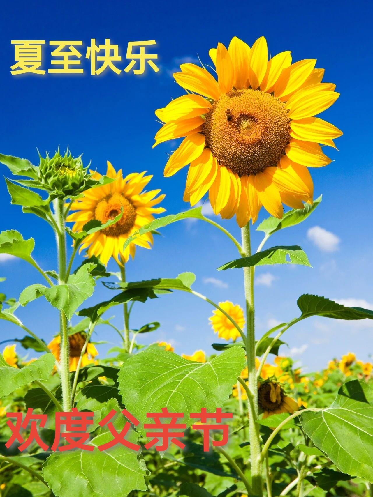今日分享随手拍照片