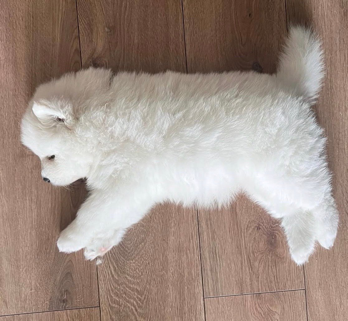 晚安耶 ​​​