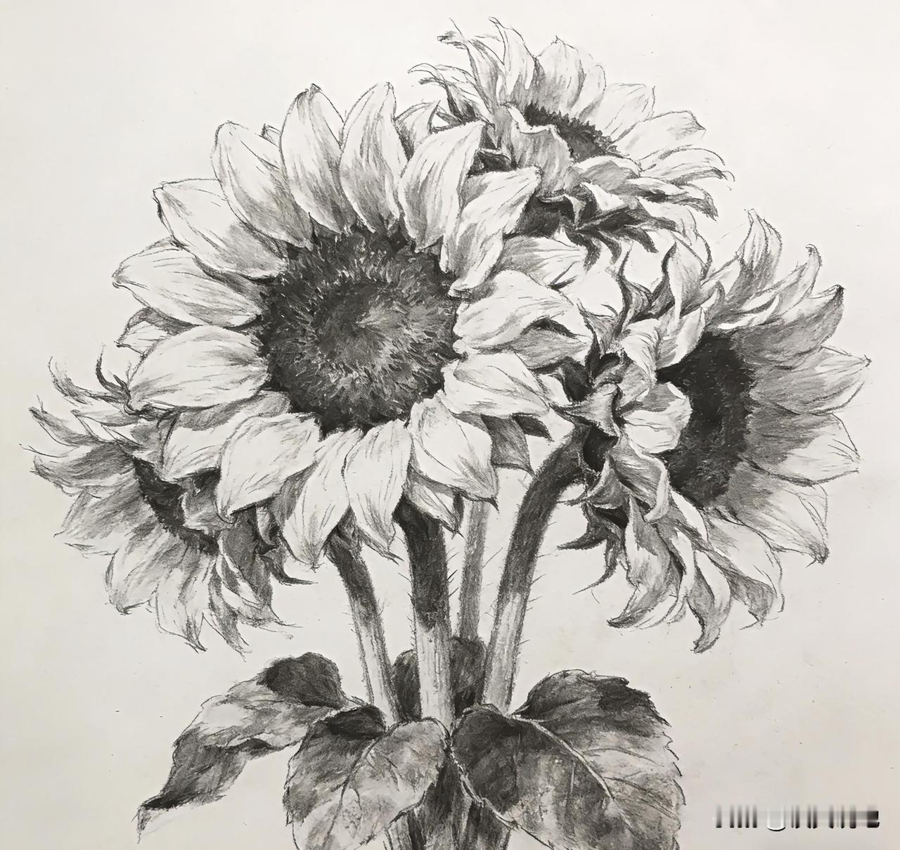 婚姻咨询师一针见血：“彩礼的数额，从来不是诚意的证明，而是利益的博弈，彩礼越高，