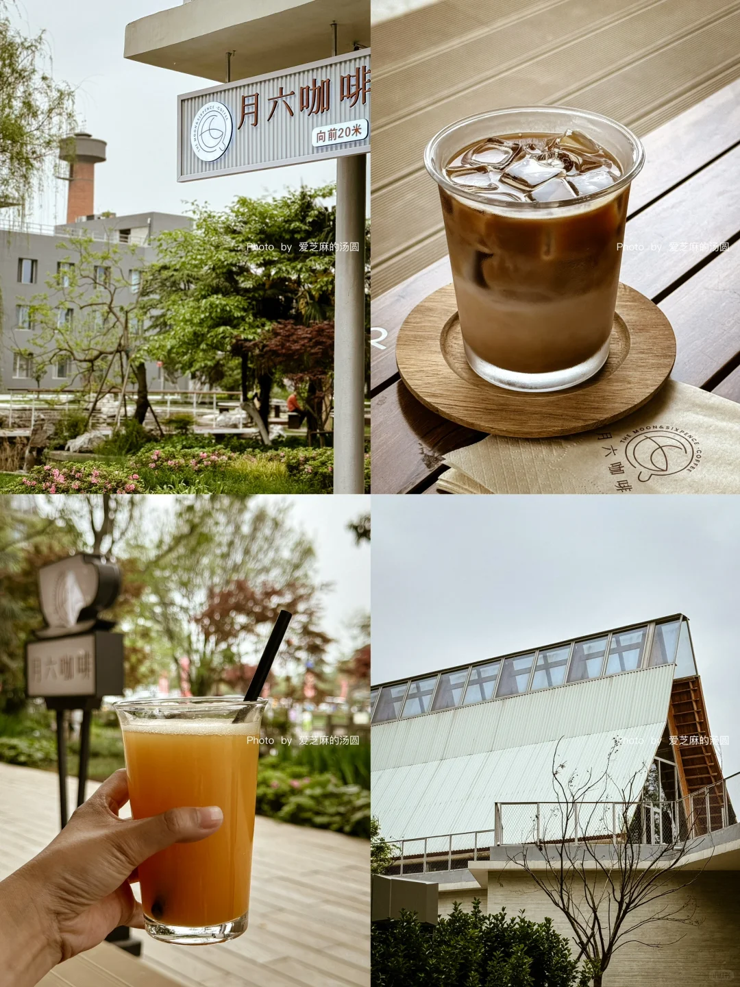 合肥 | 园博园 月六咖啡☕月亮和六便士🌙