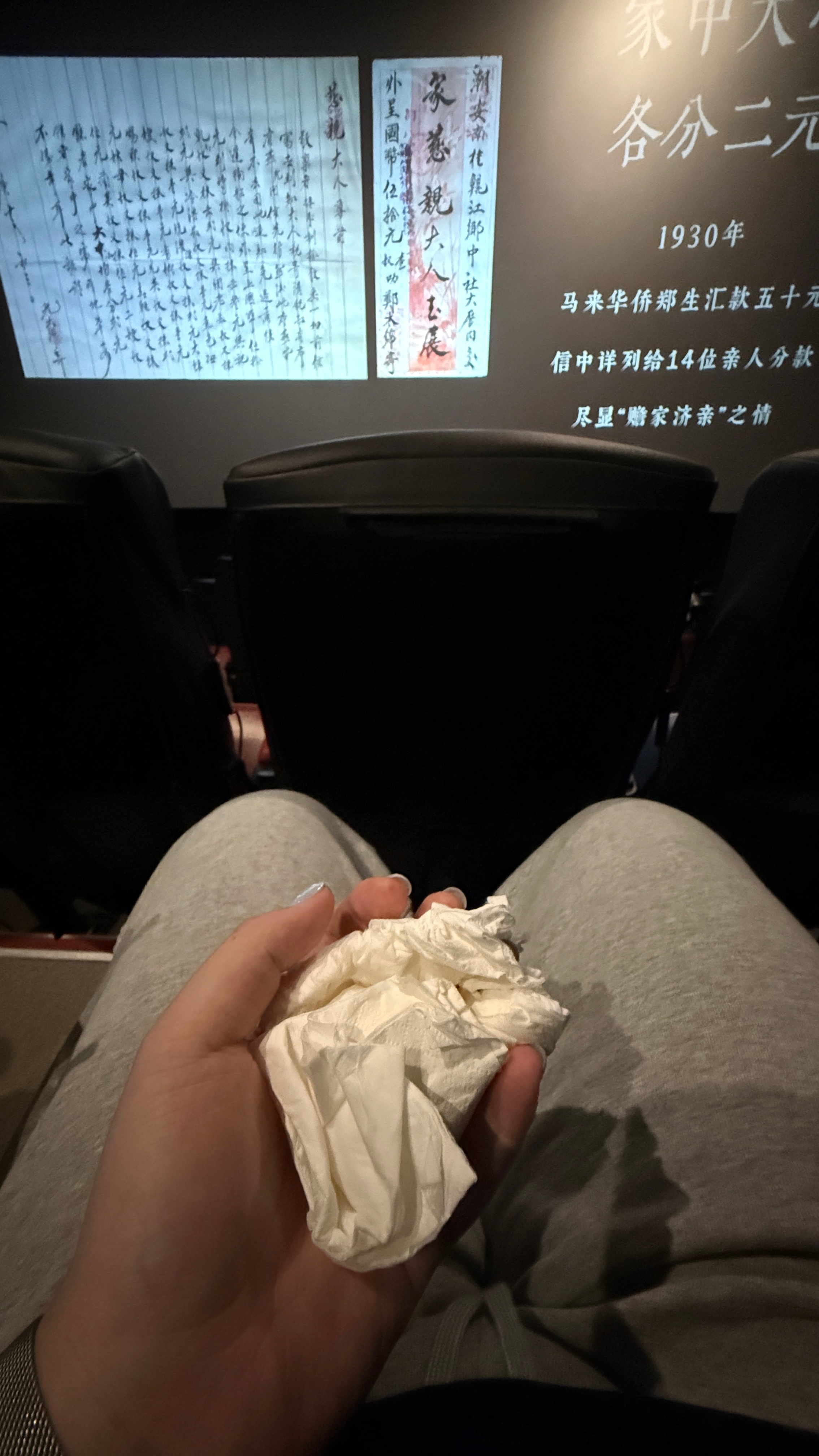 爱情 亲情 友情 家国情怀哭成傻子了……后面半个小时一直哭