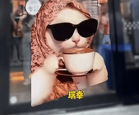 看瑞幸和蜜雪冰城的段子，发现了一只好可爱的优雅猫猫 ​​​