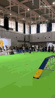 姐你是不是走错场了，悠悠球比赛在隔壁！ 