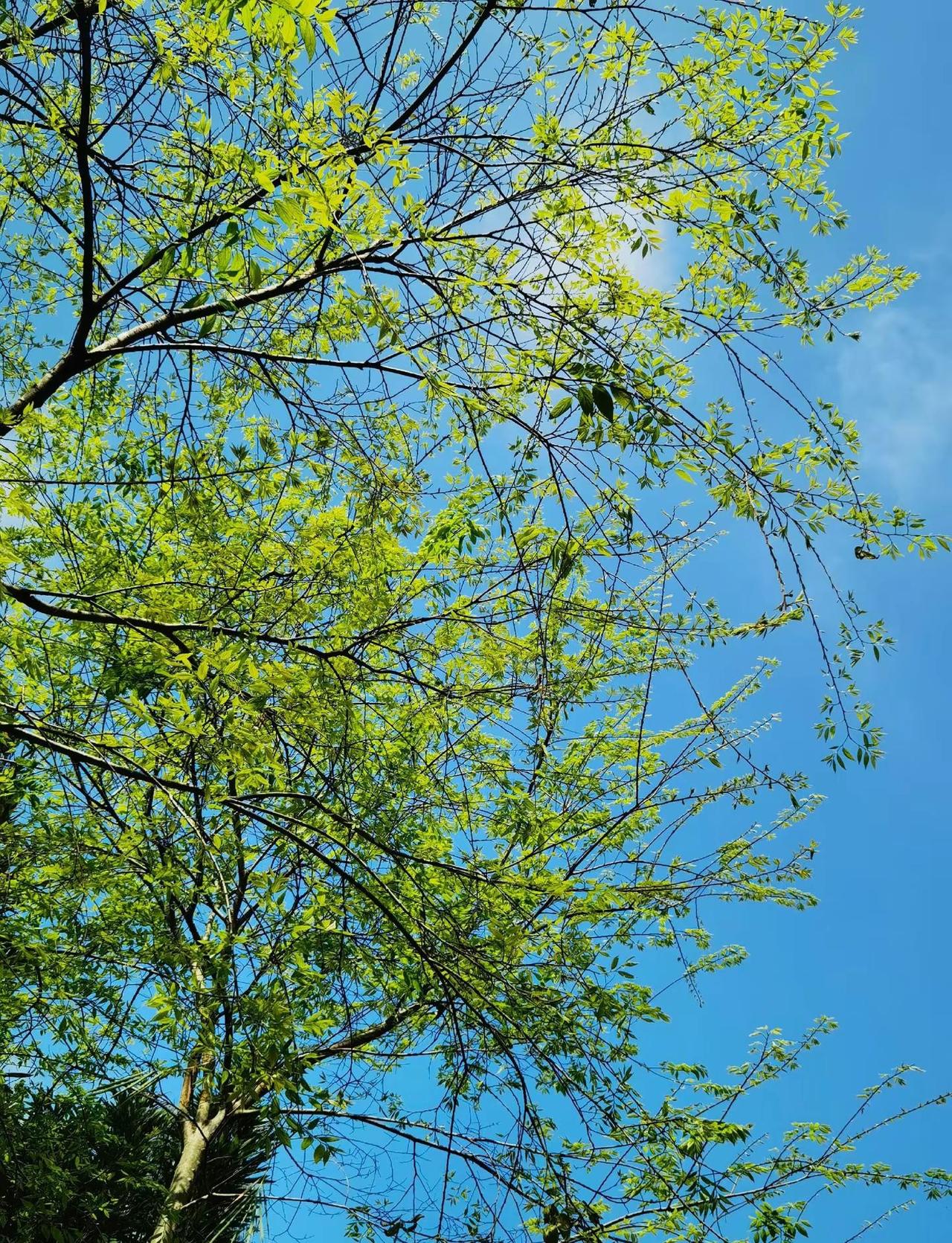 闲下来，找张自己拍的风景配上这音乐，一遍一遍的听，心一点一点的安静下来，世界都安