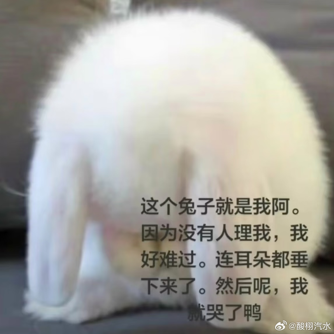 不签到的话会出大事的，知豆吗 