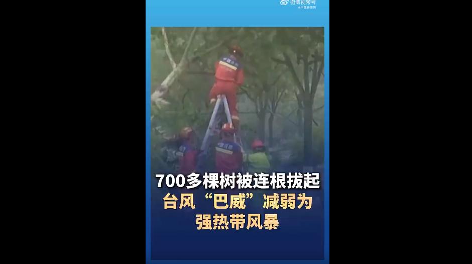 这台风“巴威”是真凶！
简直不讲理，过境浙江那一片，破坏力实打实吓人。
单单浙江