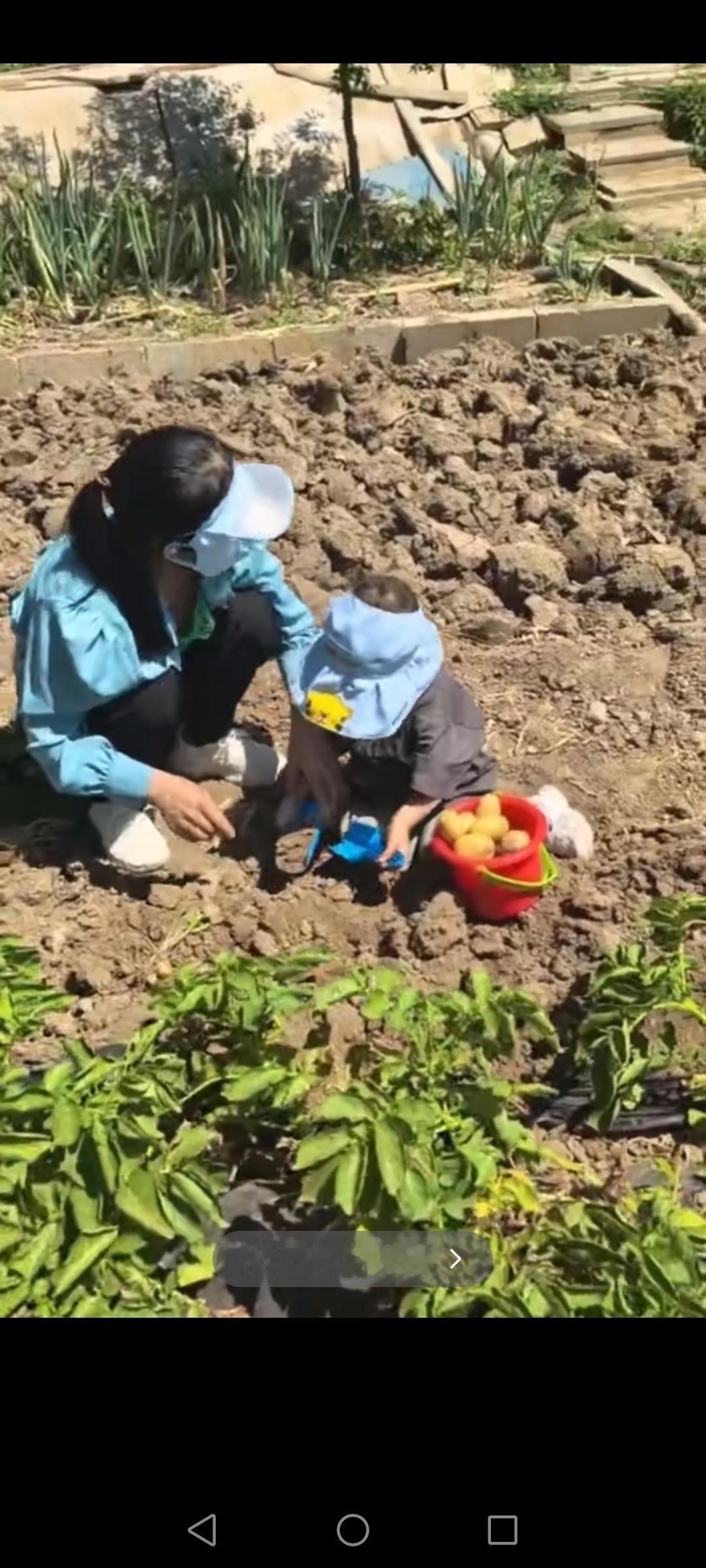 七言诗～做个好儿男

花钱容易挣钱难，
少年必须记心间。
从小牢记勤俭事，
懂得