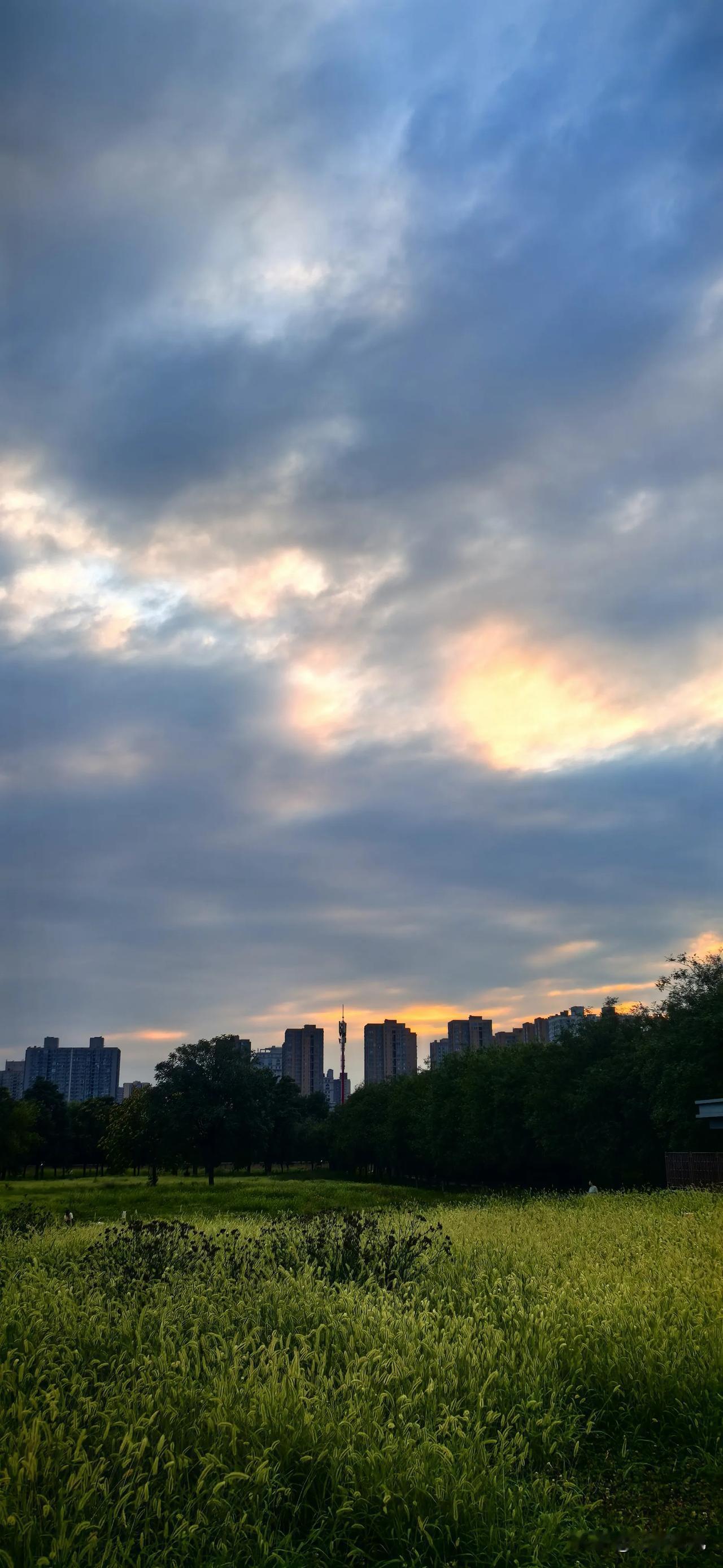 七月傍晚的风
2026年7月13日的落日把半边天揉成了温软的蜜色，深紫的云块沉在