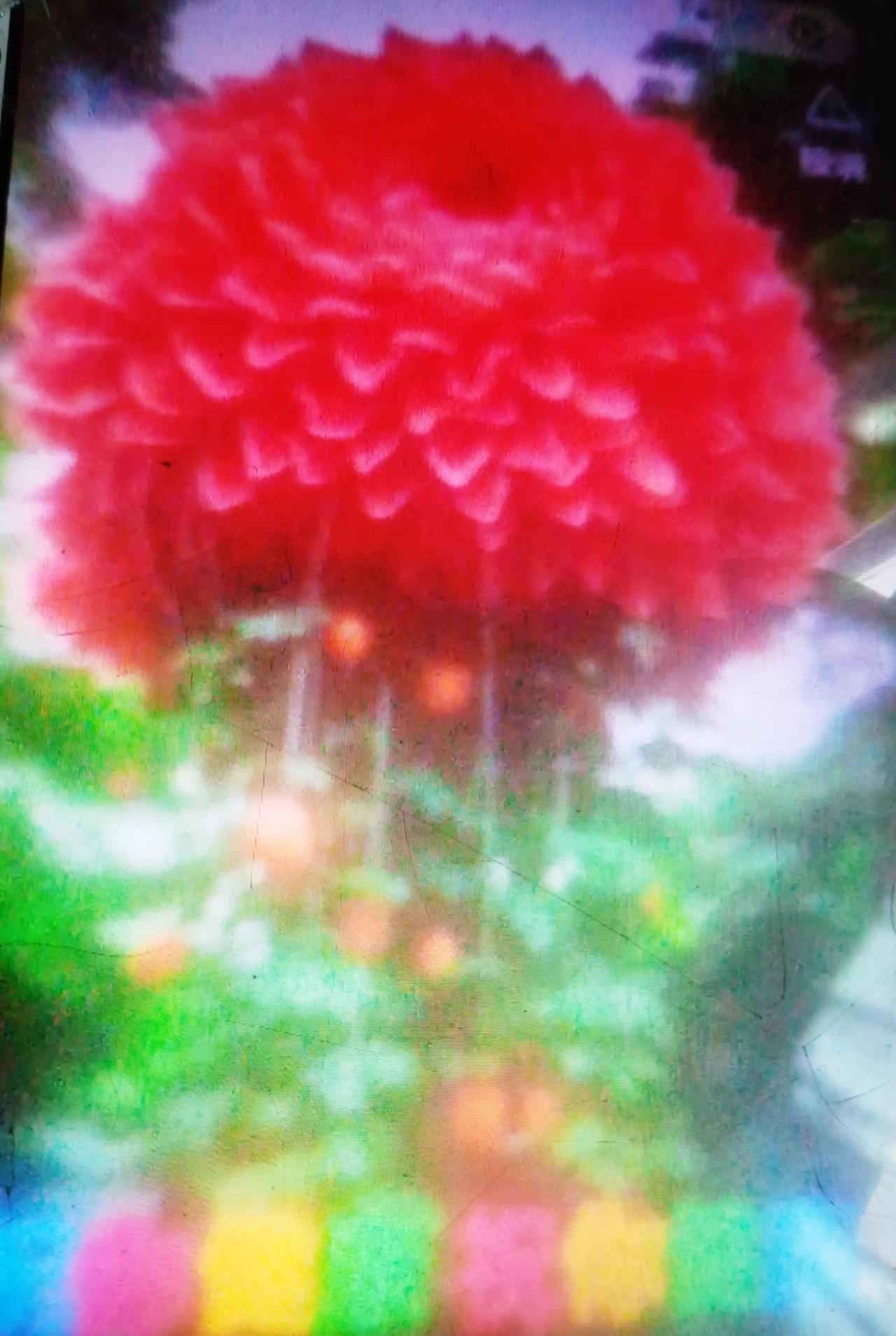 记录我的2026新春送祝福