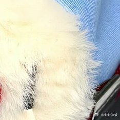 种地吧 集卡冲冲冲十个勤天