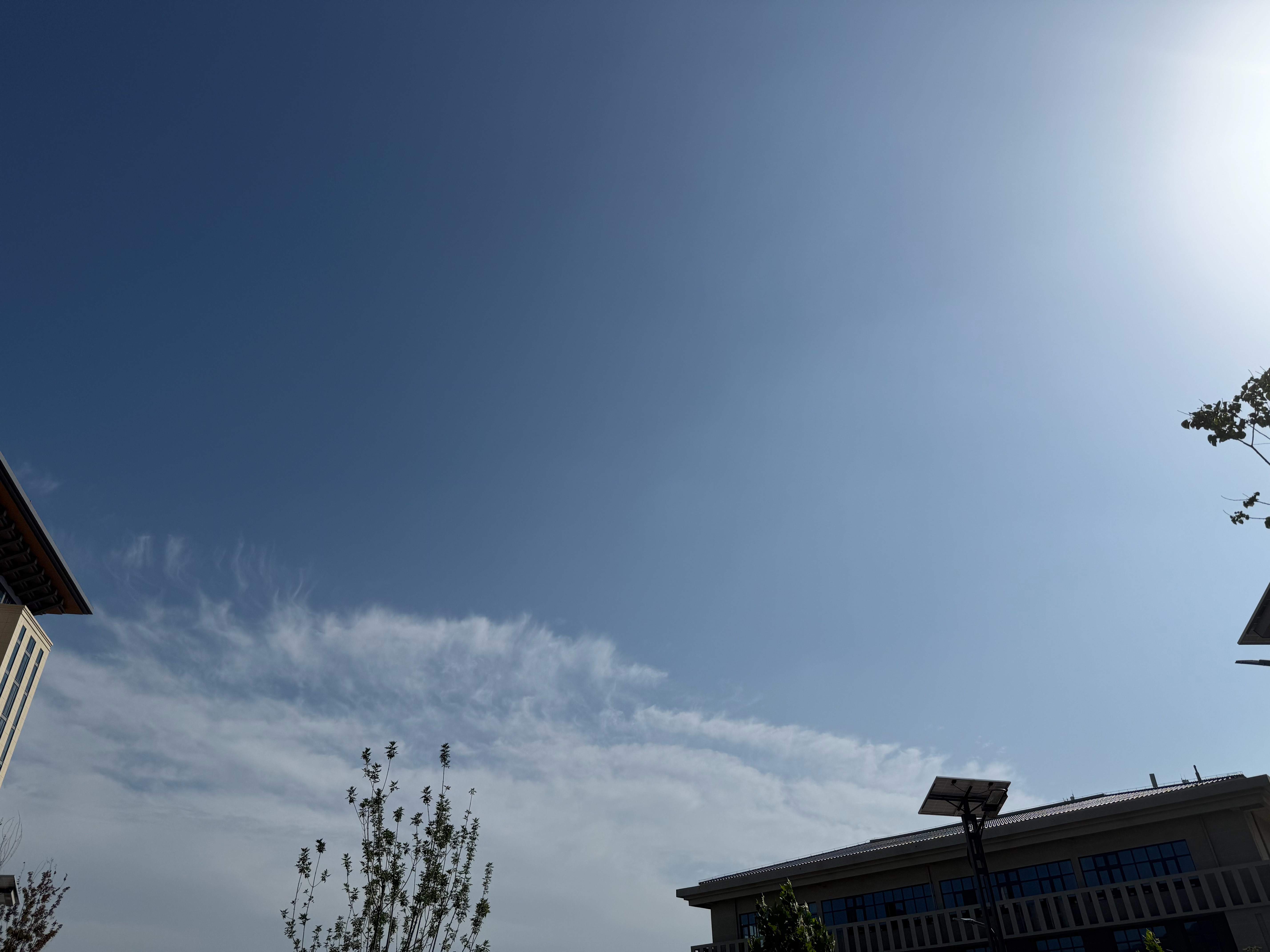 上午还在下雨，下午就晴空万里，这之间仅仅只过了两个小时。[喵喵] ​​​