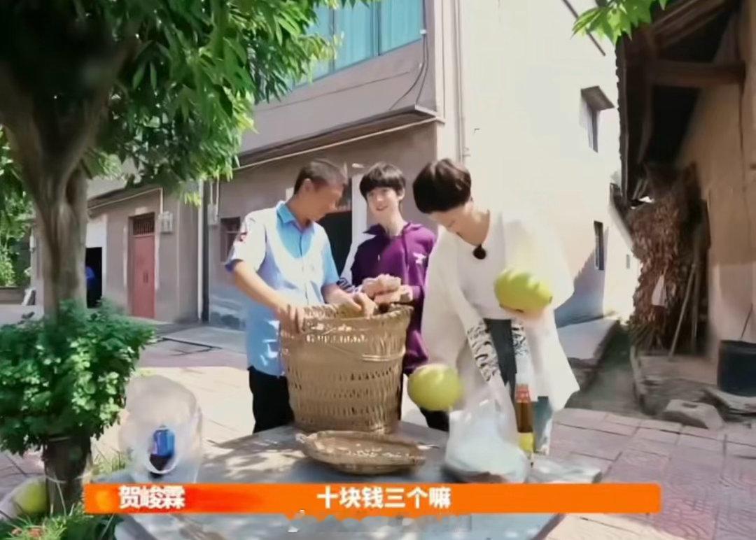 贺峻霖的嘴节目组也招架不住五十公里桃花坞 贺峻霖的谈判节奏很快。节目组给5个，他
