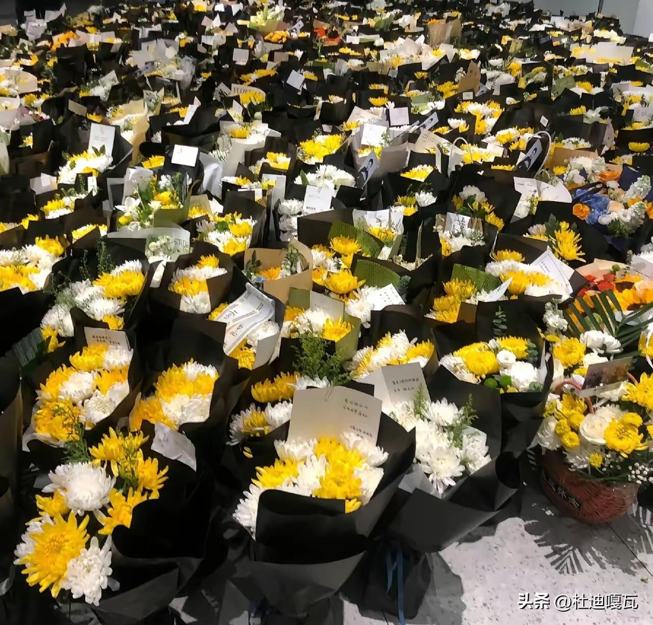 现在张雪峰楼下成了花的海洋，因为公司里太多已经放不下了，大家都把鲜花还放在了楼下