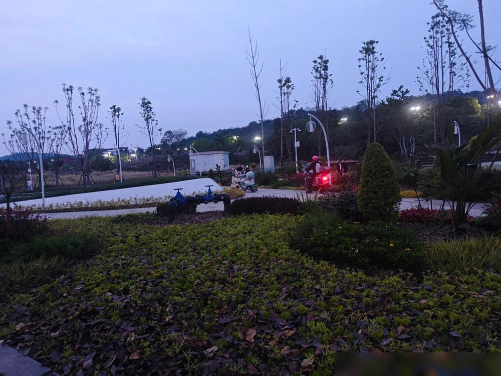 网上近期看到谈论延退的很多，我已不免抑郁起来了，本人73的，按原定退休年龄还有七