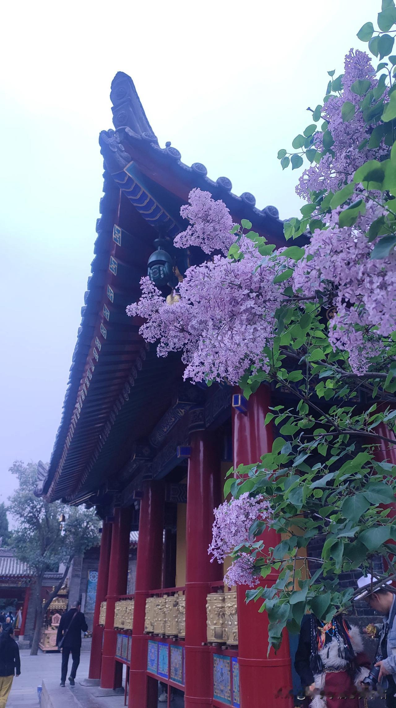 中考报名  八年级今天截止中考 
咸阳市2025届中考生报名时间
八年级：202