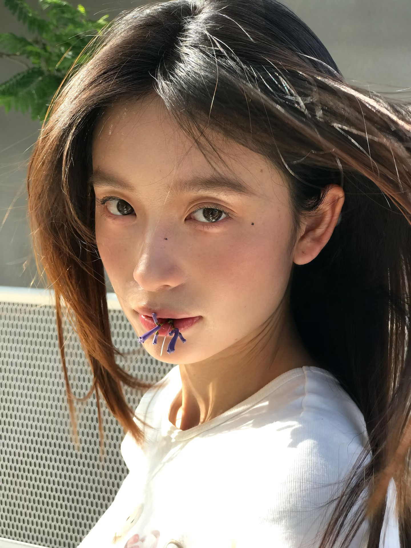 风中 是少女的心事