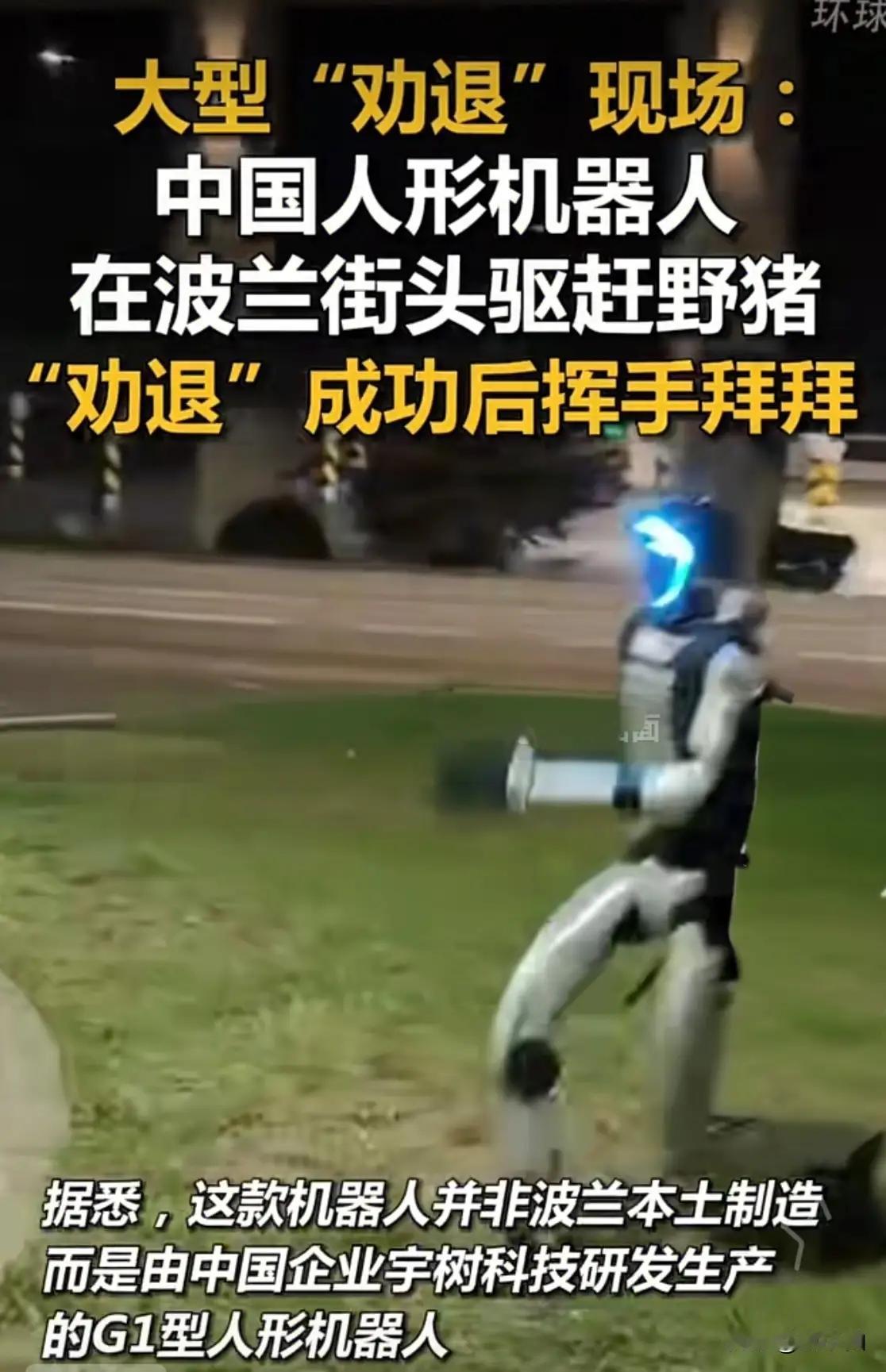 完整榜单
中国人形机器人在波兰街头驱赶野猪——这听起来像是科幻电影里的桥段，却真