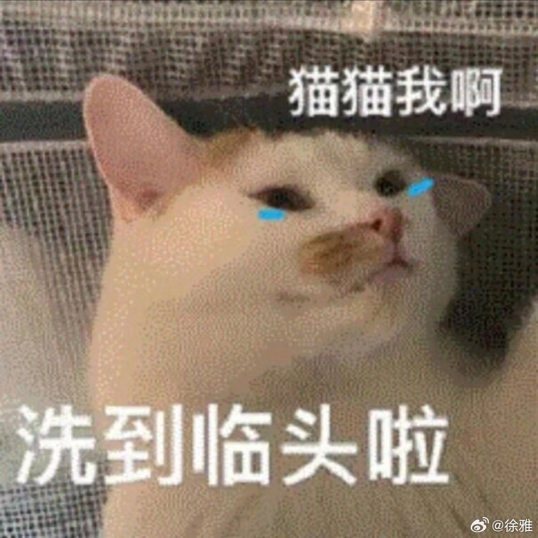 搞笑表情包。 