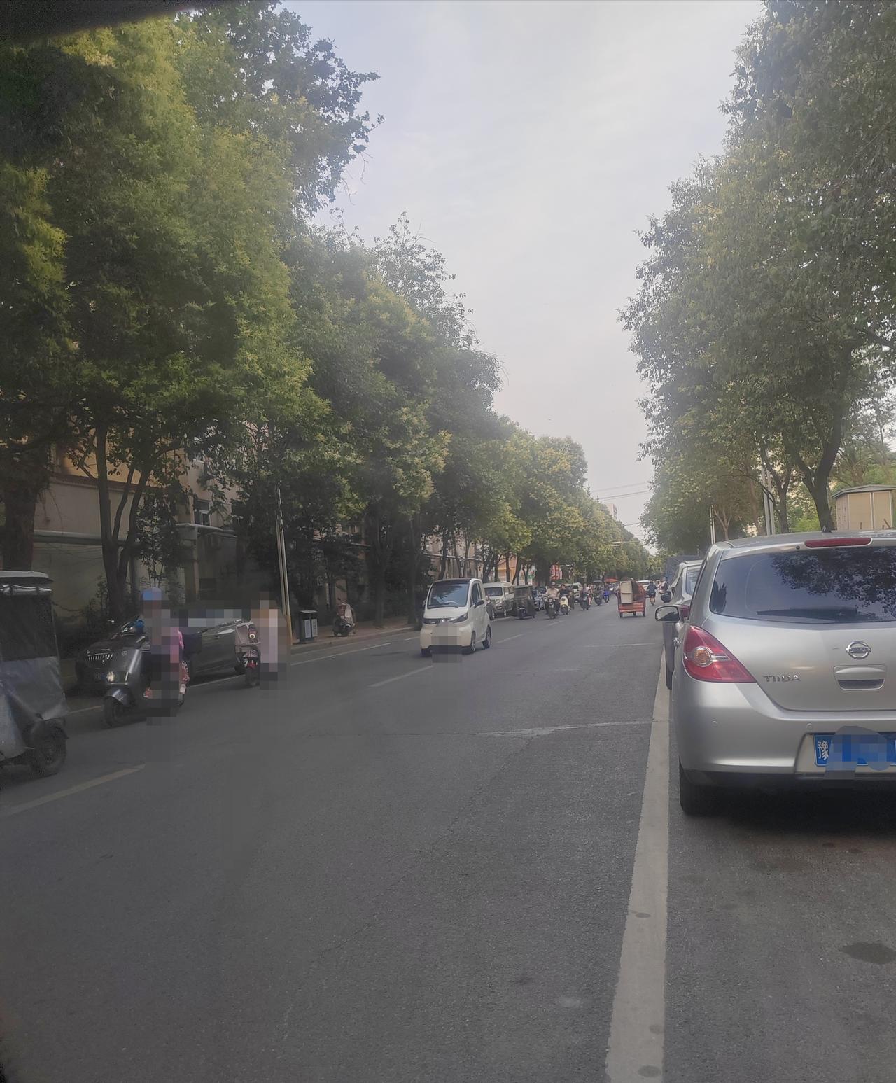 第26天！
今天下午从凌云路拐弯上了湛北路，凌云路到长青路的这一段，和之前毫无二