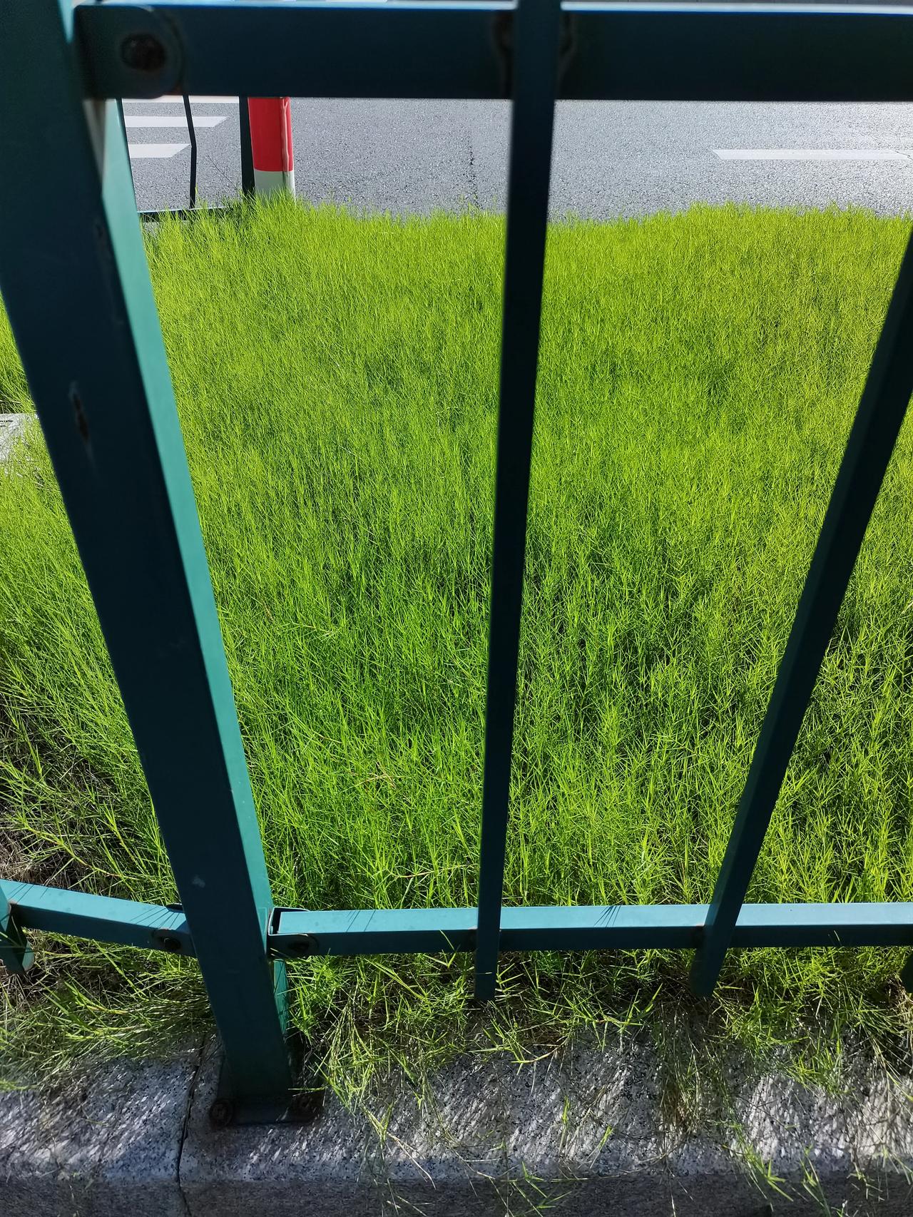 人生的痛苦，
大多可以通过读书来化解，
又一痛苦在书里找到了答案。

高中一位语