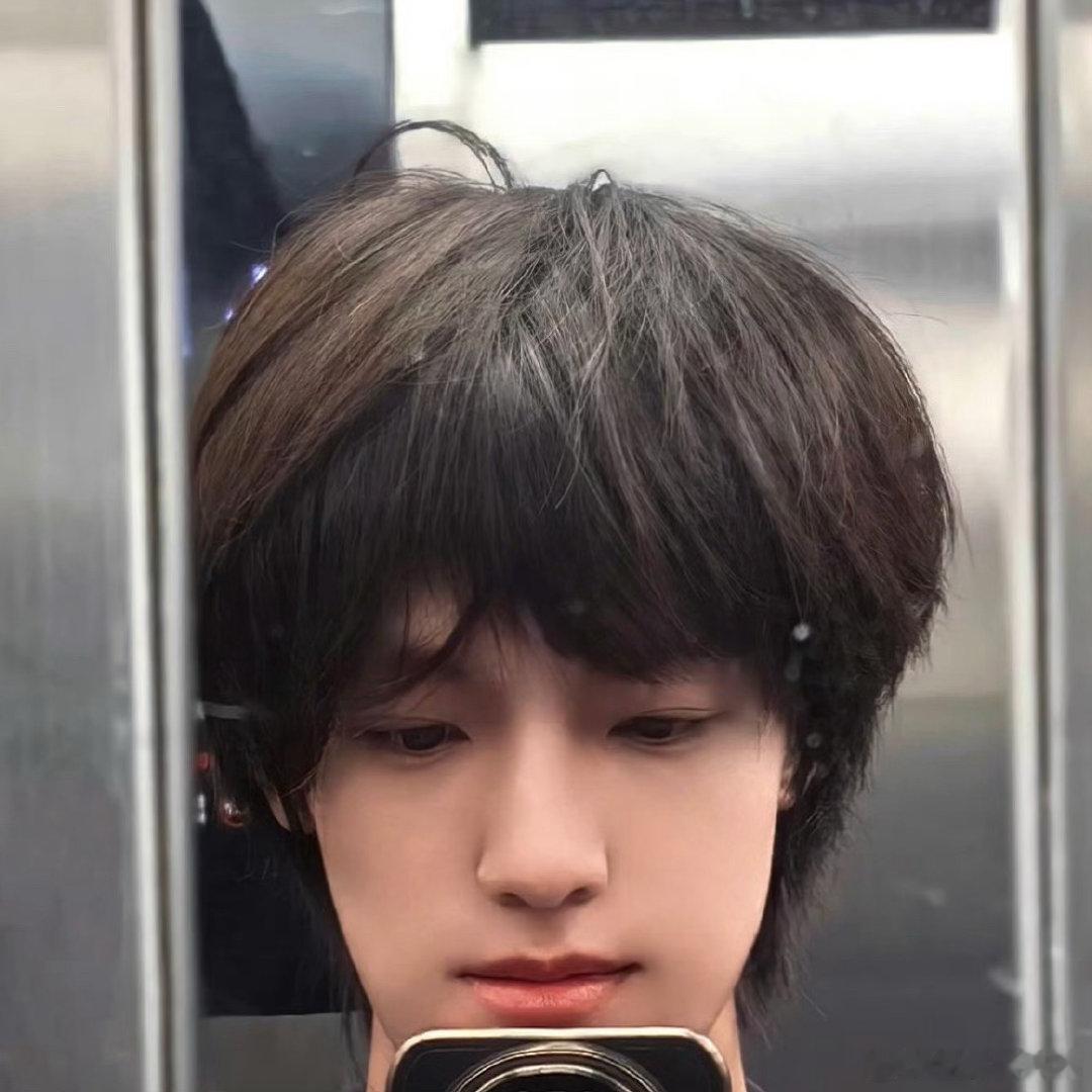 张泽禹。小乐乐 