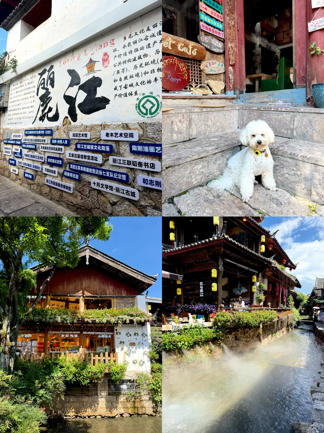 丽江古城一日游攻略-不被宰不踩坑