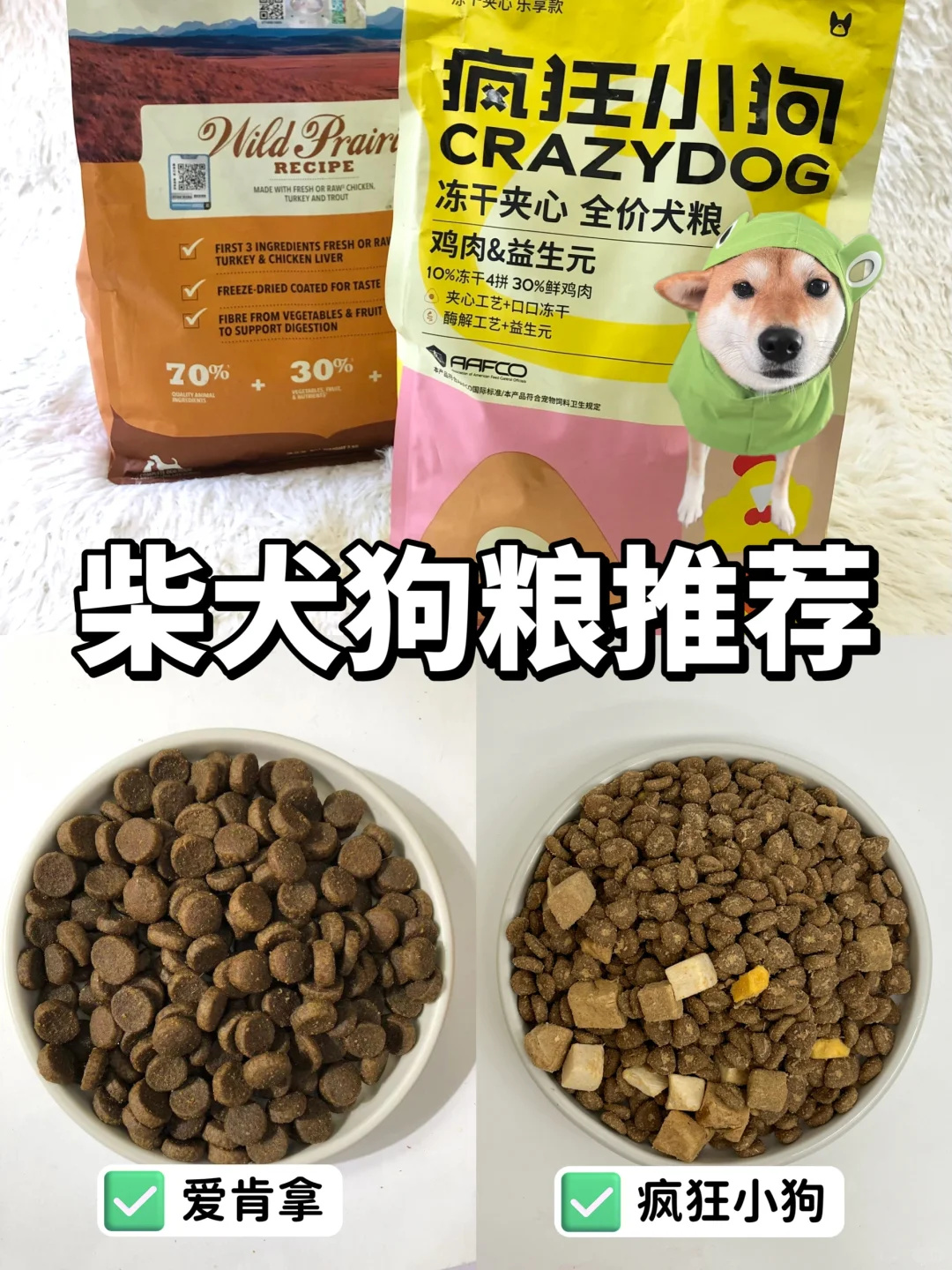 不同狗狗狗粮怎么选？