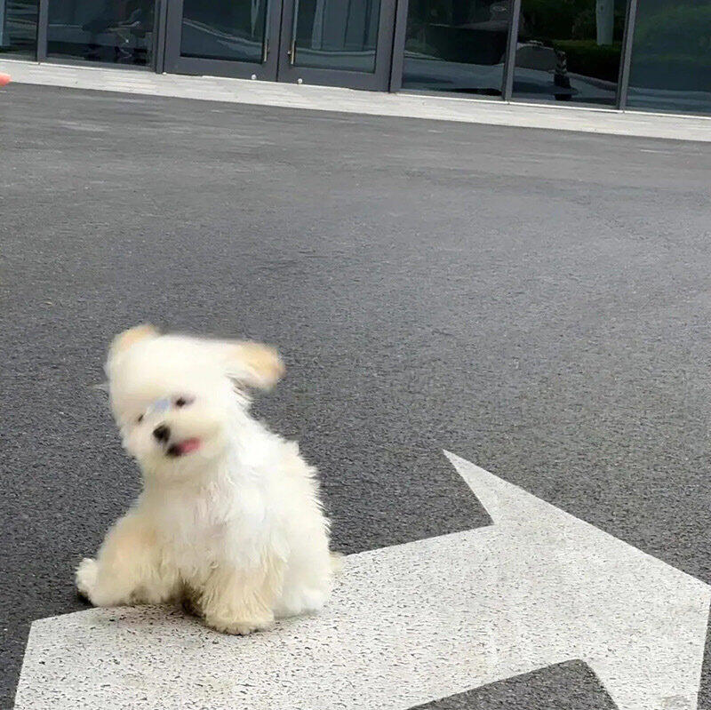 𝐒𝐡𝐚𝐫𝐞'' ｜朋友圈背景图 