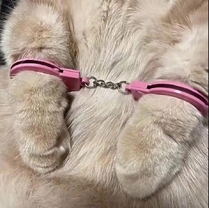 你被逮捕啦，芳心纵火犯！