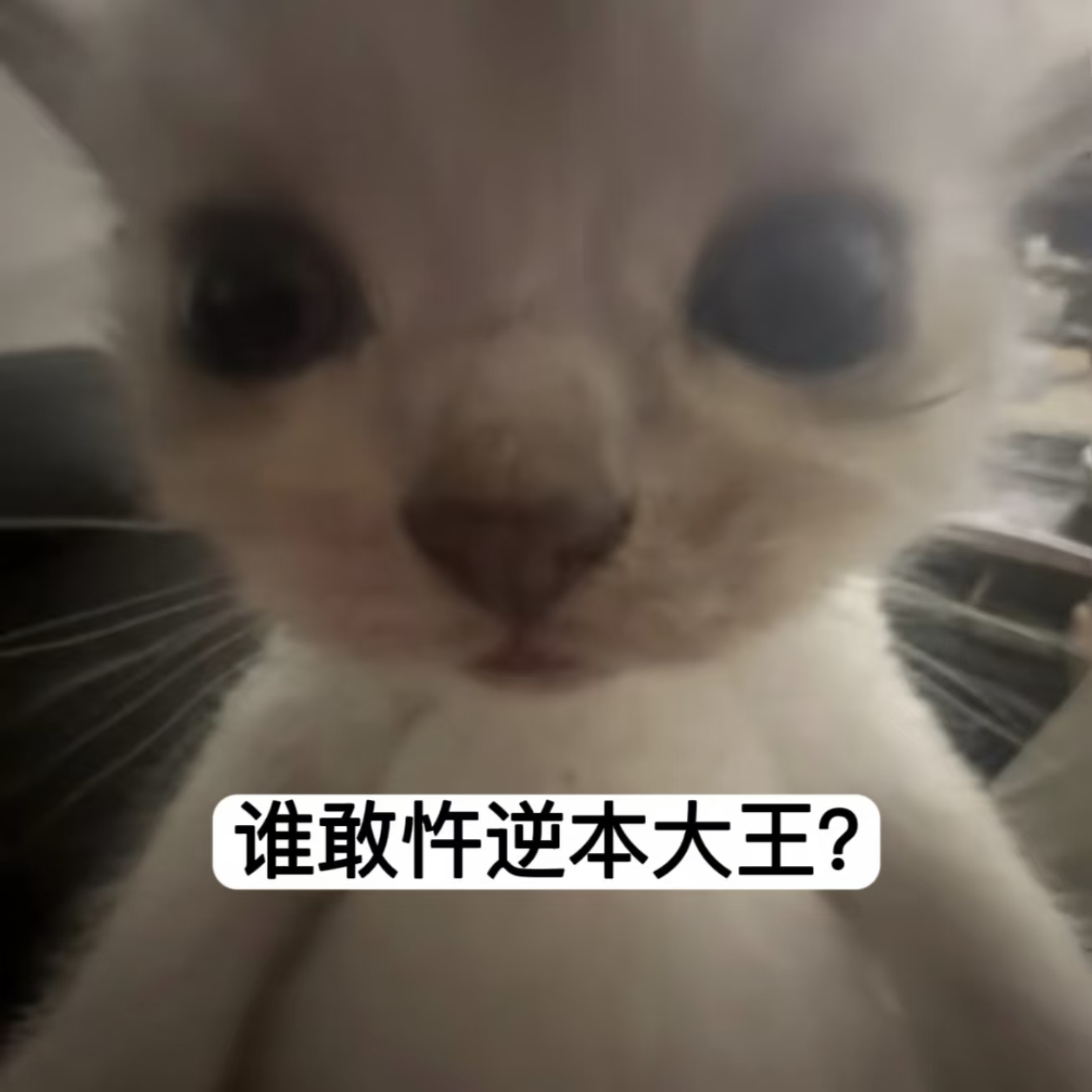 啧 你们看过好看的短剧有哪些快点扔给我 