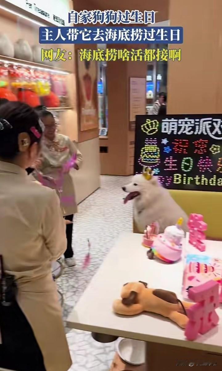 奇葩，着实令人惊讶！
这海底捞竟是什么活都接！在消费者众多的餐厅里，居然承接给狗