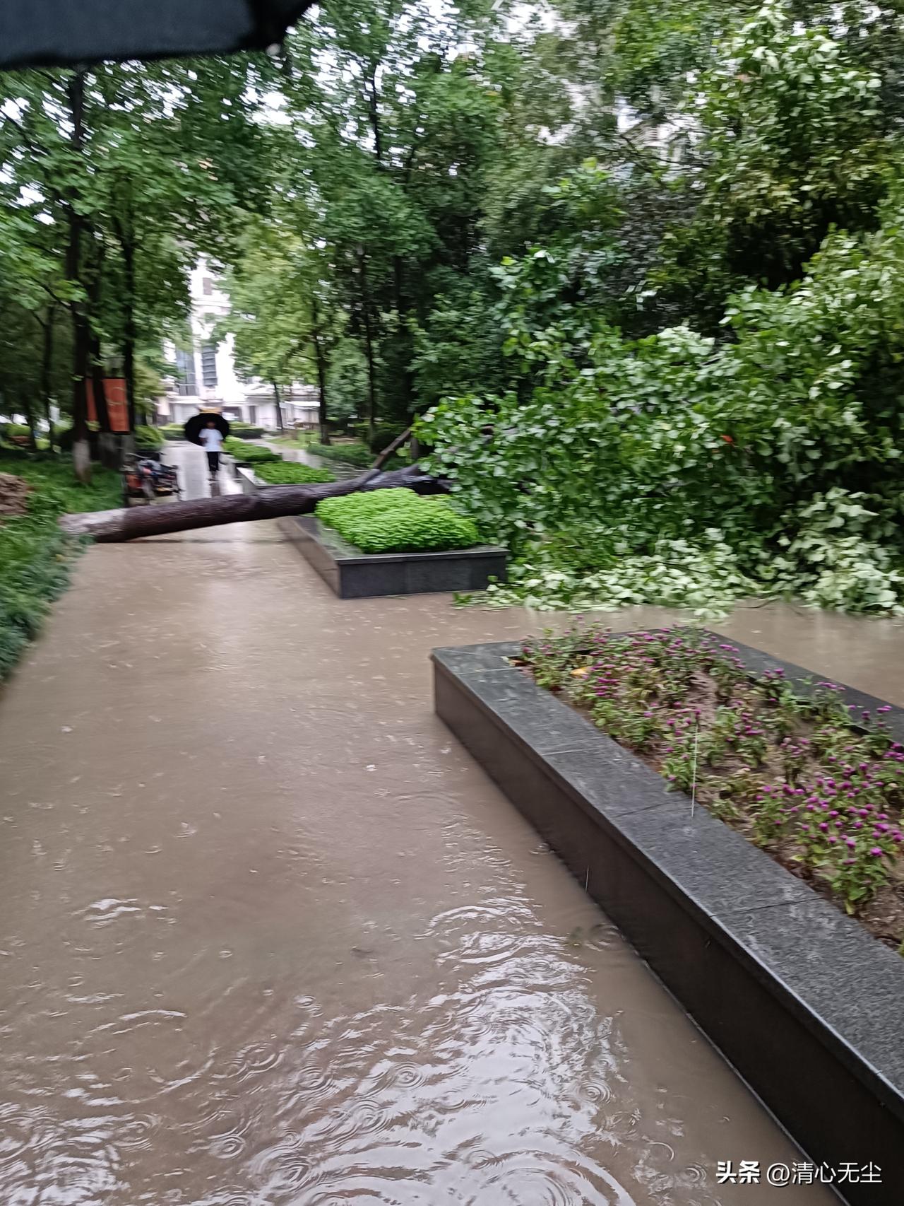 今天看来去不了公司了，我们九里亭街道承受了这一切，为松江扛下了所有，公交车等了快