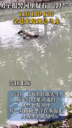 上海一小伙在一条河边的道路上骑行赶路，当目光扫过河面时，一个怪异的身影突然闯入了