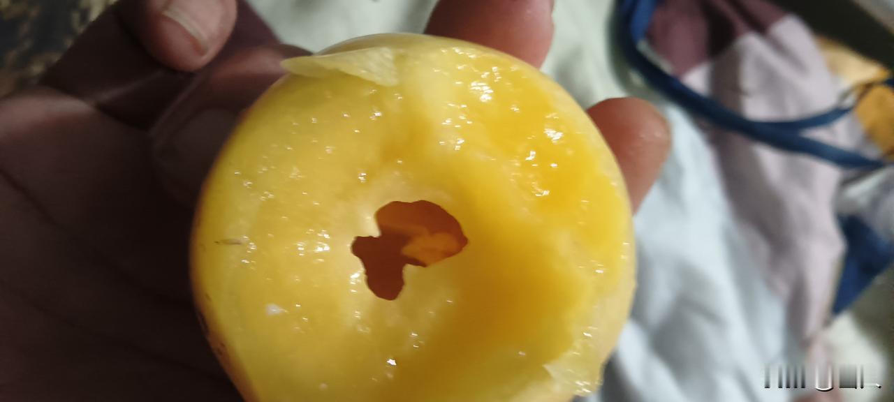 我认为文科。我更倾向于让孩子选择文科。文科涵养心性，沉淀底蕴，能教会孩子读懂人情