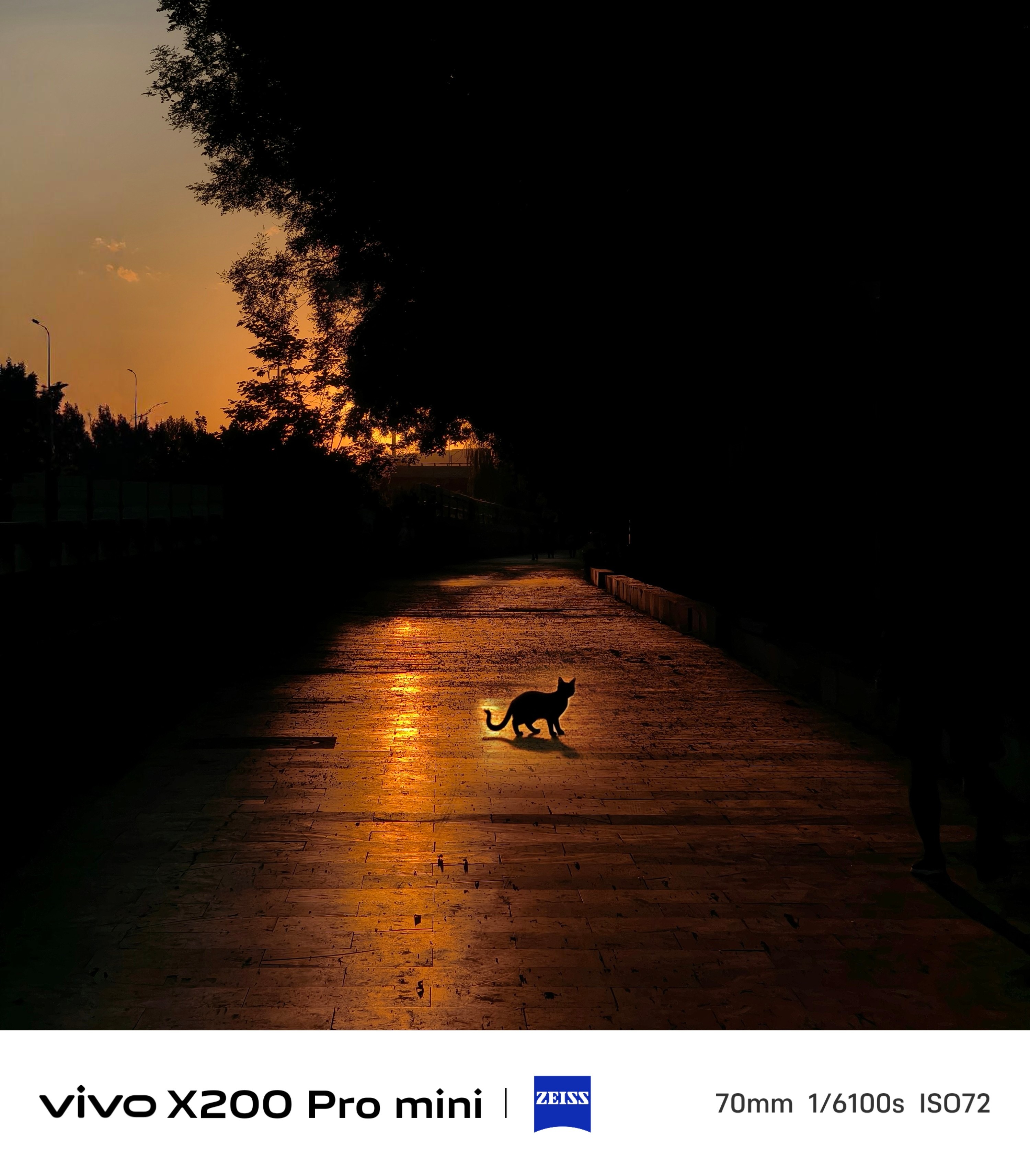 来到南高基公园去新的公园转一转，然后才能发现新的视角设备：vivo X200 P