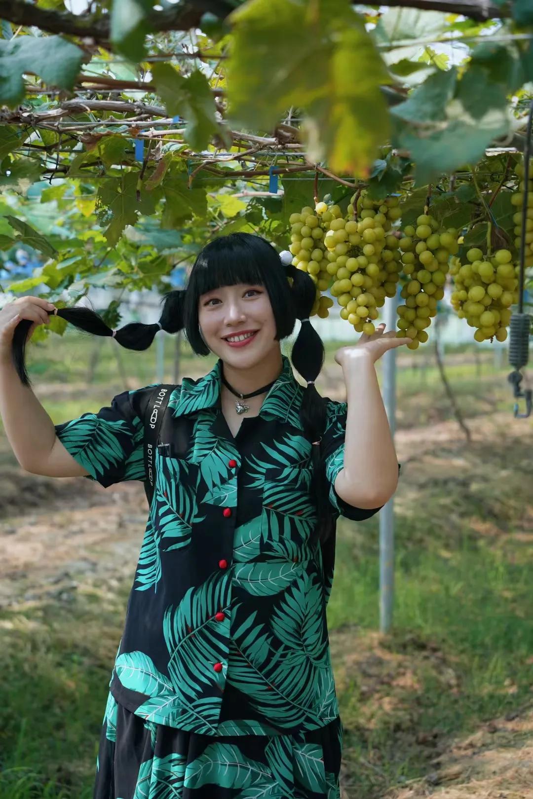 秋天的一次采摘，来到了潮州的官塘葡萄基地，拿着剪刀✂️收获秋天的一份甜蜜。阳光正