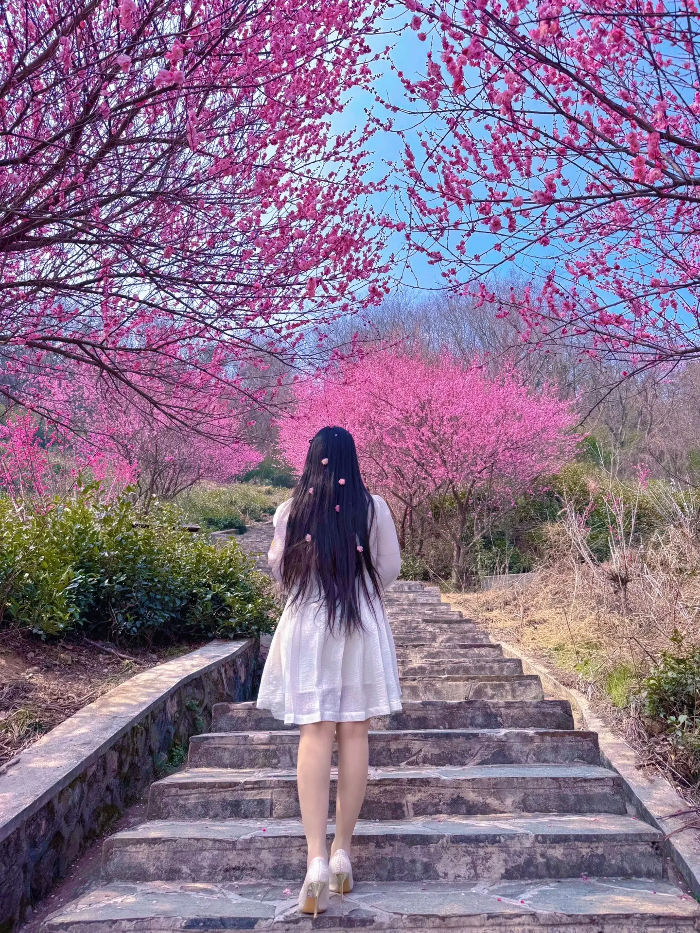 这么美的景，怎能辜负……