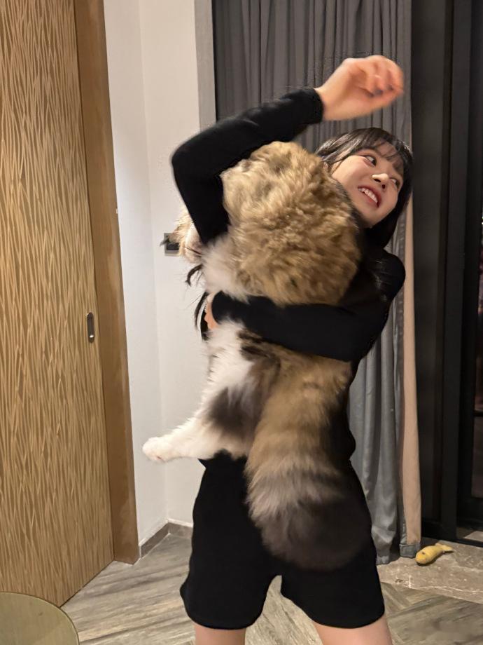 田曦薇不基础猫也不基础 笑不活了，田曦薇不基础猫也不基础，没有想到会看到这么大的