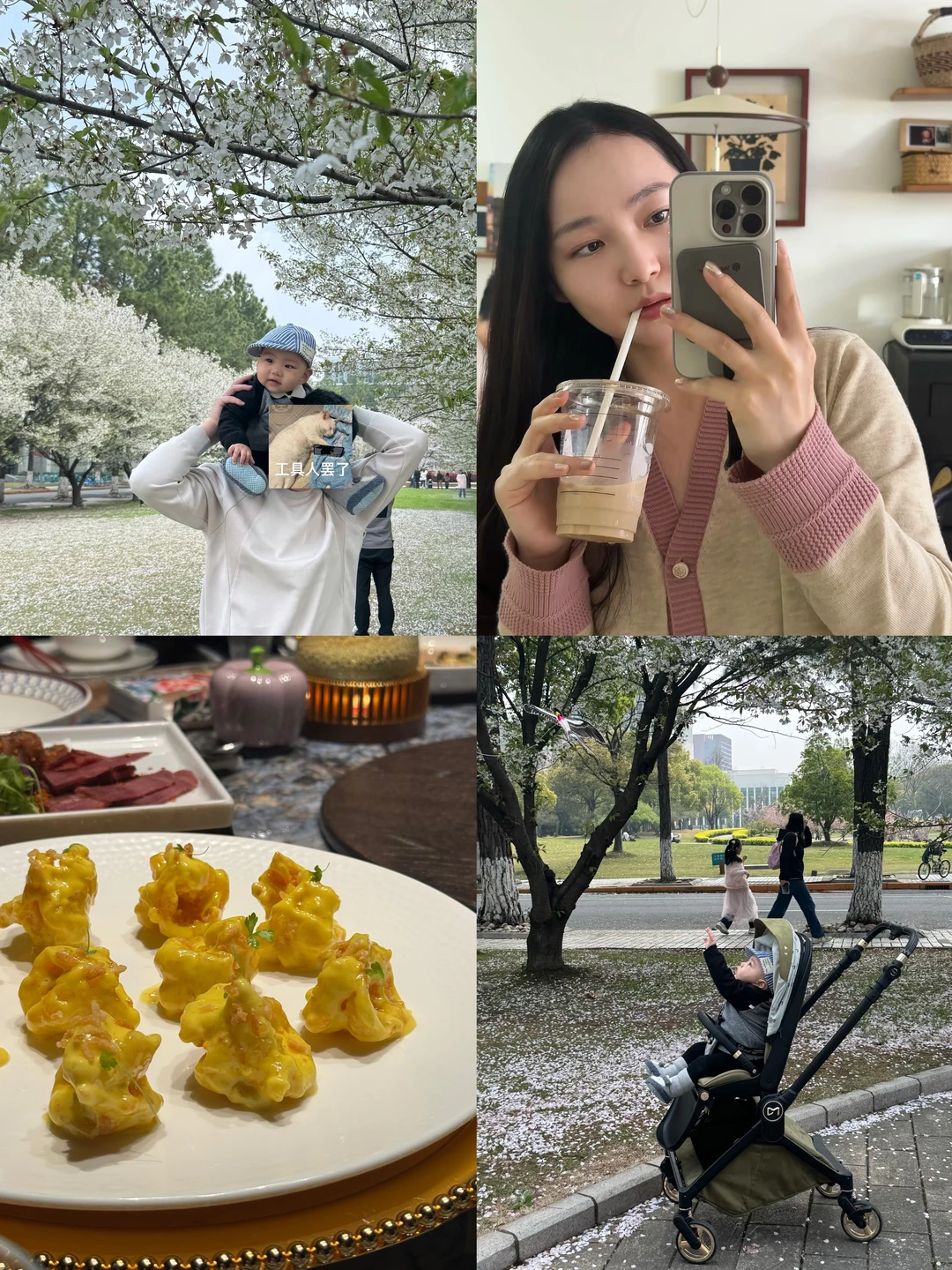 Plog 九月龄的赏花日记🌸