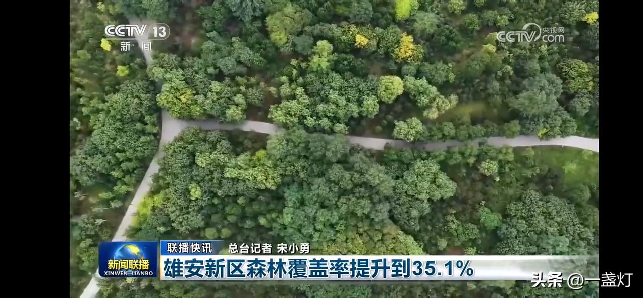 “森林覆盖率飙升至35.1%！