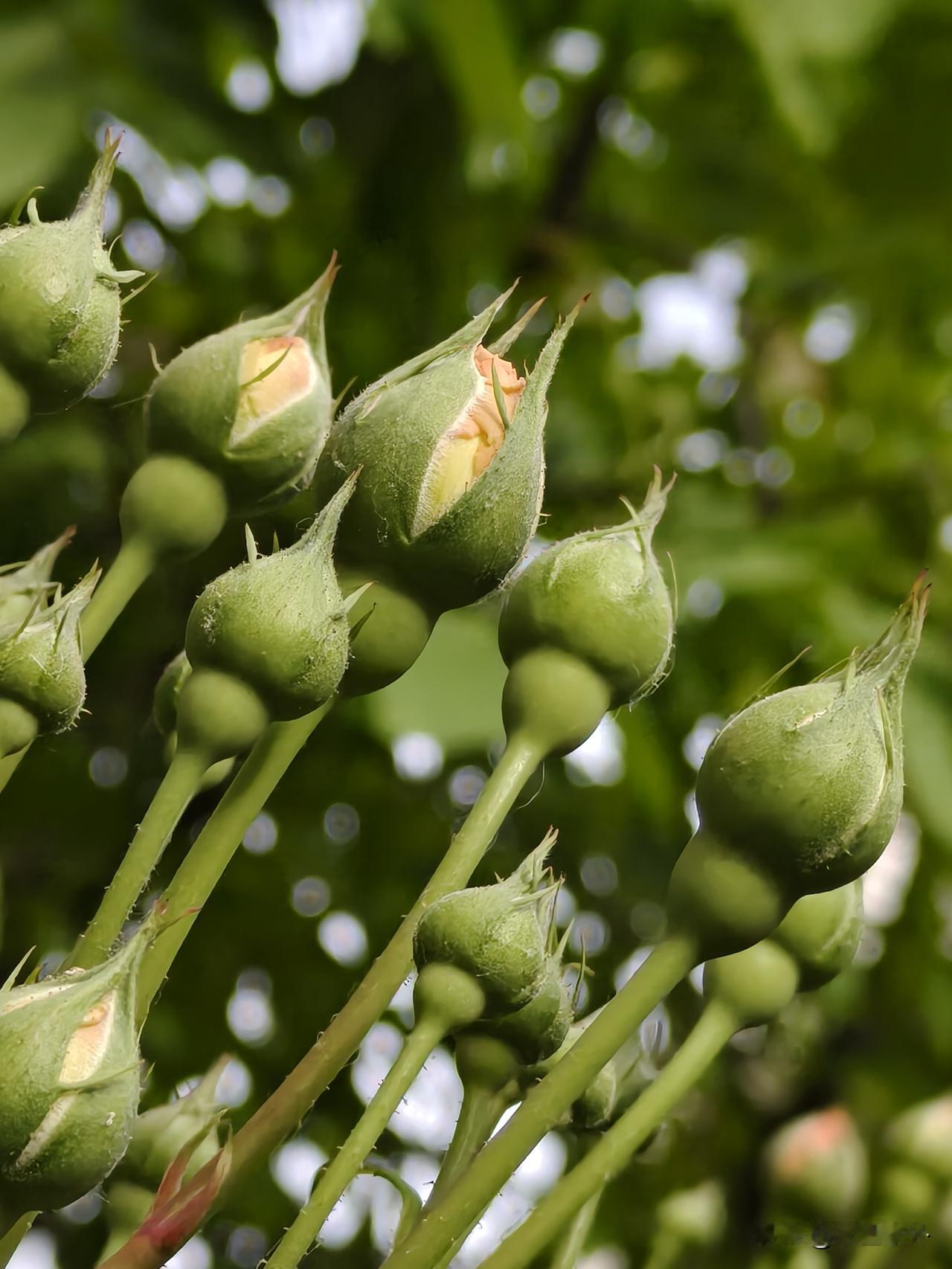 从哪里出发不重要，
何时出发才是关键。