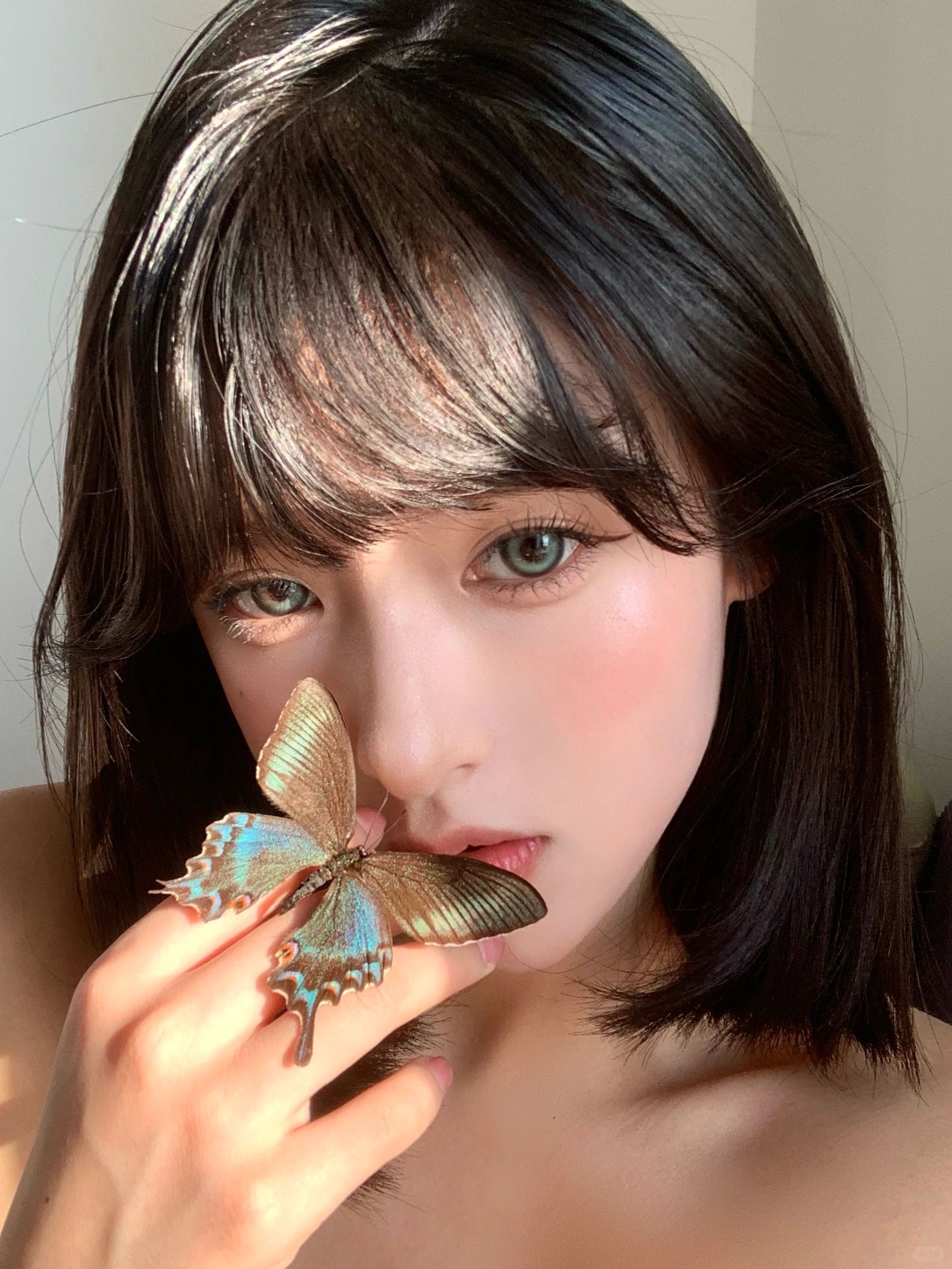 蝴蝶美学🦋