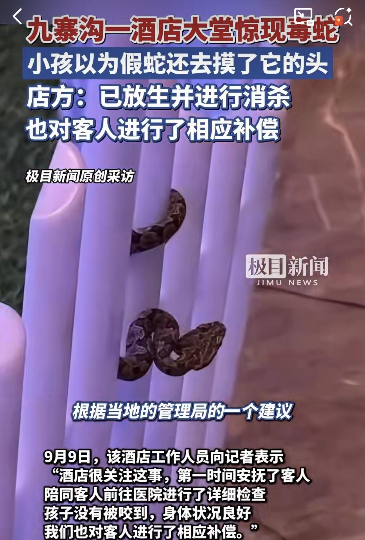 这就是新手保护期吧！一对夫妻带着孩子去九寨沟旅游，在酒店大堂内的栏杆上盘踞着一条