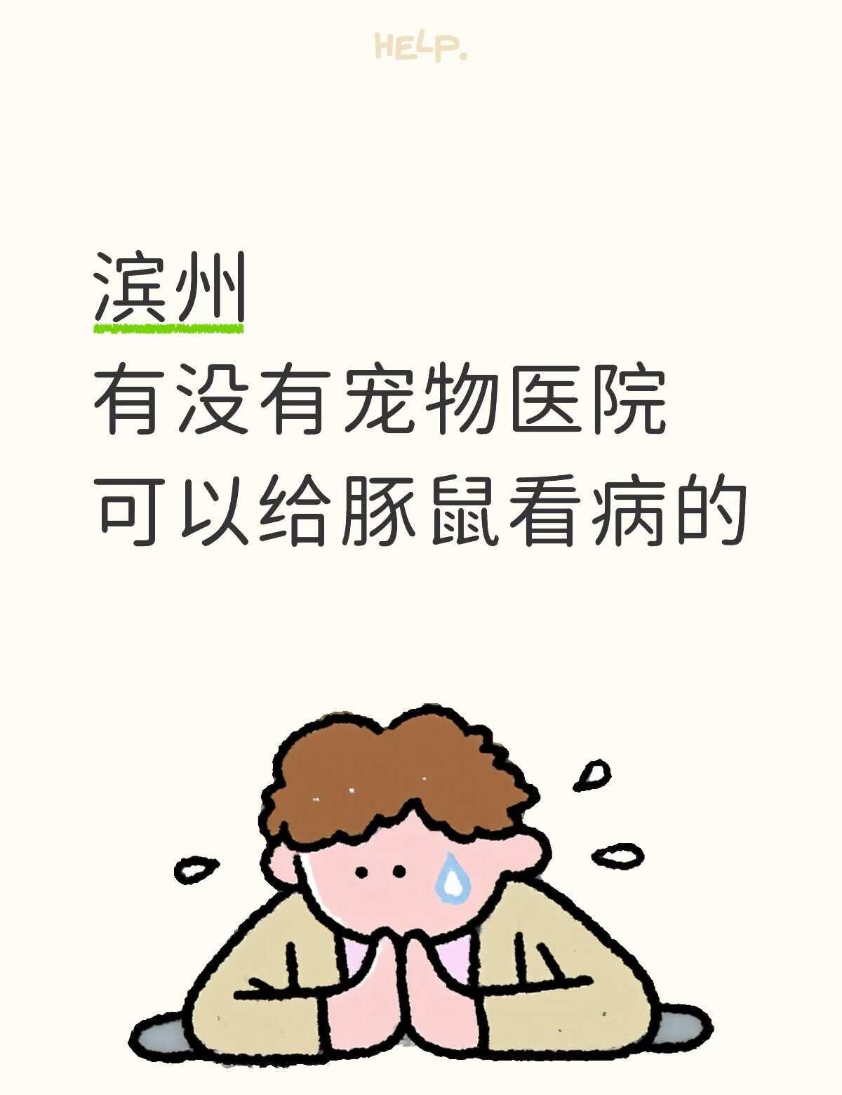 滨州
有没有宠物医院可以给豚鼠看病的
宠物医生 宠物医院 异宠医院 宠物健康 荷