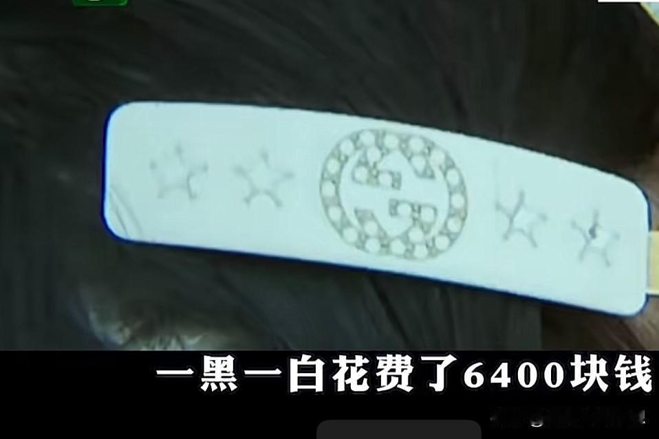 真的是贫穷限制了我的想象，花6400元买两个发夹？

真闹心！一女子花6400元