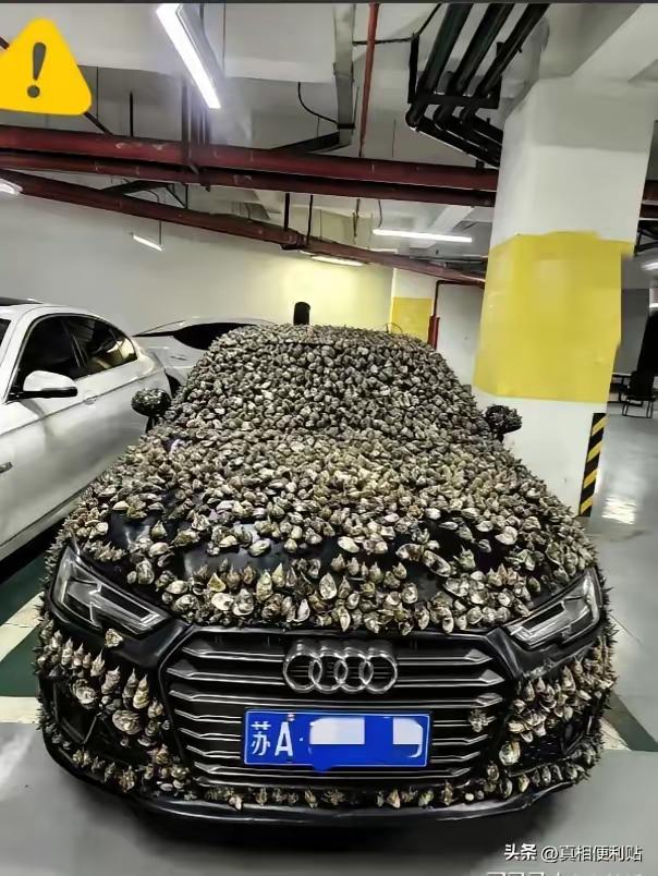 江苏某小区地下车库里，最近出现了一幕奇景。

一辆银灰色奥迪，被裹得严严实实。