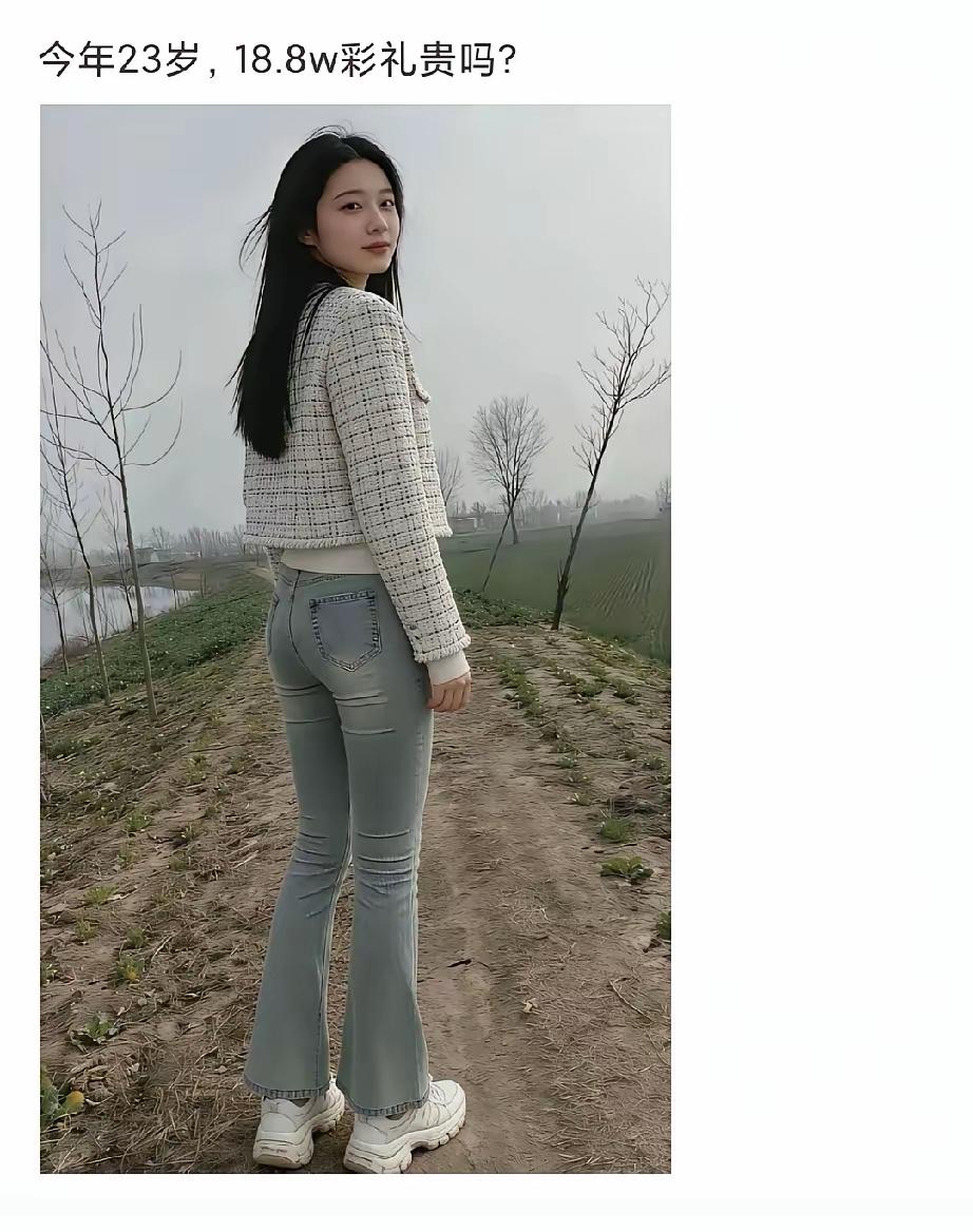 这条件，这彩礼高吗